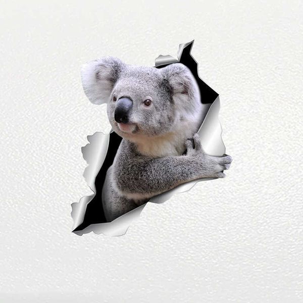 stickers v1101# sticker koala pet animal waterproof vinyl decal car accessories decor pegatinas para coche r230812
stickers v1101# sticker koala pet animal waterproof vinyl decal car accessories decor pegatinas para coche r230812