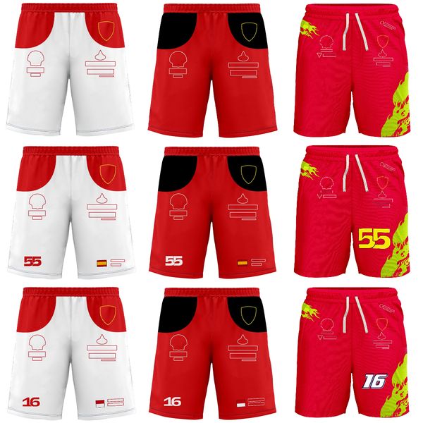 2023 new f1 team red shorts formula 1 driver sports shorts summer racing fans fashion casual beach short pants quick dry shorts
2023 new f1 team red shorts formula 1 driver sports shorts summer racing fans fashion casual beach short pants quick dry shorts