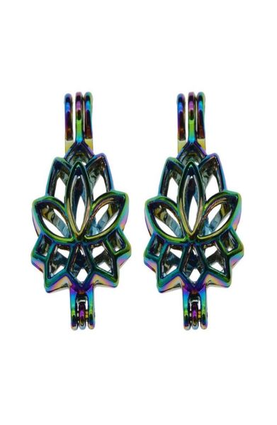 10pcs rainbow color lotus flower pearl cage bead cage locket pendant essential oil diffuser diy jewelry locket for oyster pearl3122014, Silver
10pcs rainbow color lotus flower pearl cage bead cage locket pendant essential oil diffuser diy jewelry locket for oyster pearl3122014, Silver