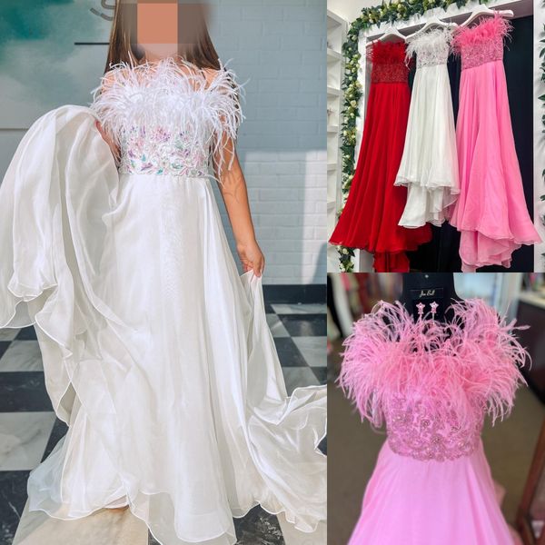 long chiffon girl pageant dress 2024 a-line feather beaded candy pink little kid birthday wedding formal party gown infant toddler teens tin, White;red
long chiffon girl pageant dress 2024 a-line feather beaded candy pink little kid birthday wedding formal party gown infant toddler teens tin, White;red