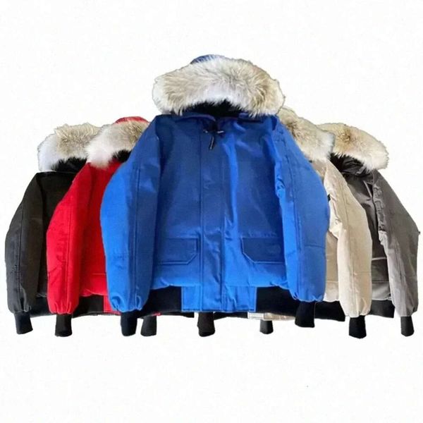 parkas coats mens womens designers down jackets veste homme winter puffer big fur hoody apparel fourrure letters printed outwears, Black
parkas coats mens womens designers down jackets veste homme winter puffer big fur hoody apparel fourrure letters printed outwears, Black