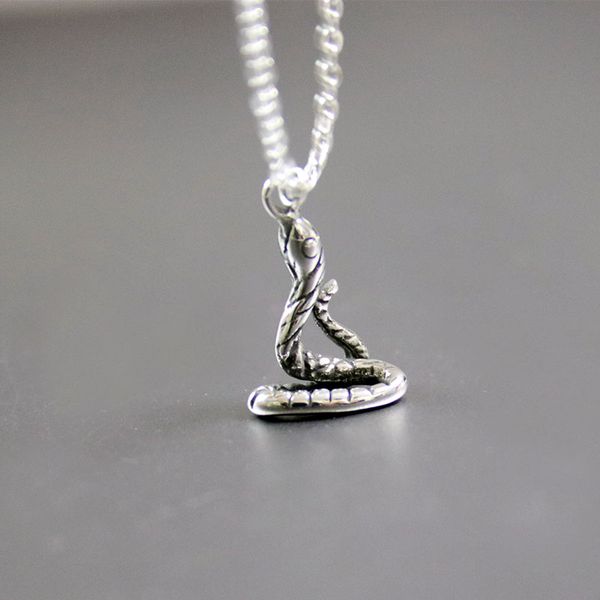 everfast 5pc/lot diy vintage 3d cool snake stainless steel custom pendant chinese culture animal zodiac snake necklace men women memorial je, Silver
everfast 5pc/lot diy vintage 3d cool snake stainless steel custom pendant chinese culture animal zodiac snake necklace men women memorial je, Silver