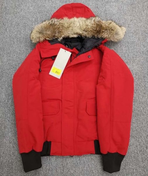 black bomber down jacket for men designer winter coat women wolf fur hooded canvas parkas
black bomber down jacket for men designer winter coat women wolf fur hooded canvas parkas