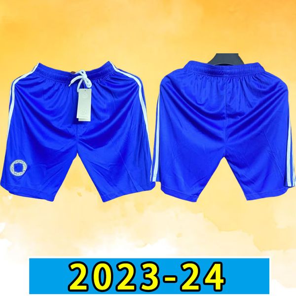 23/24 vardy city soccer shorts maddison iheanacho 2023 2024 camiseta barnes tielemans ayoze daka lookman iheanacho football pants men home a, Black;red
23/24 vardy city soccer shorts maddison iheanacho 2023 2024 camiseta barnes tielemans ayoze daka lookman iheanacho football pants men home a, Black;red