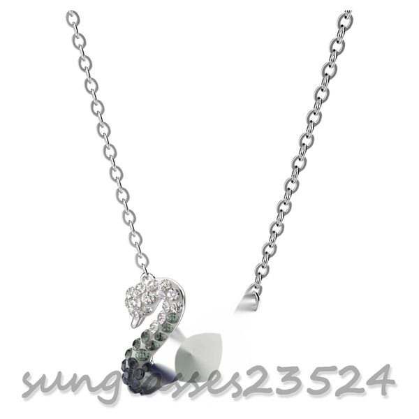 sw-17 beating heart black swan lady collarbone chain light luxury niche network red qixi gift to girlfriend, Silver
sw-17 beating heart black swan lady collarbone chain light luxury niche network red qixi gift to girlfriend, Silver
