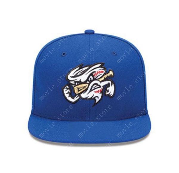 omaha storm chasers embroidered adjustable baseball cap snapback hat6487104, Black;white
omaha storm chasers embroidered adjustable baseball cap snapback hat6487104, Black;white