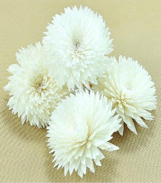 10pcs/lot white chrysanthemum design so flower diffuser scent flowers for nature scents zh04052634975
10pcs/lot white chrysanthemum design so flower diffuser scent flowers for nature scents zh04052634975