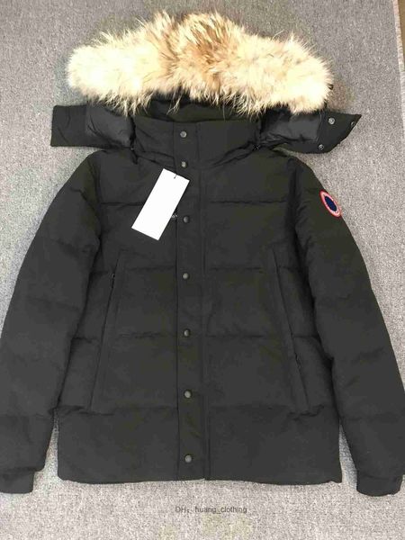 canada goode jacket canadian designer men's down jacket women's parkers winter hooded thick warm gooses coats female tj77 goose ja, Black
canada goode jacket canadian designer men's down jacket women's parkers winter hooded thick warm gooses coats female tj77 goose ja, Black
