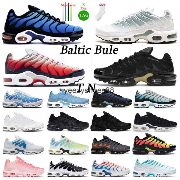 running shoes men's and women's black and white orange max plus cushioned comfort shoe men's outdoor sports shoes sneakers
running shoes men's and women's black and white orange max plus cushioned comfort shoe men's outdoor sports shoes sneakers