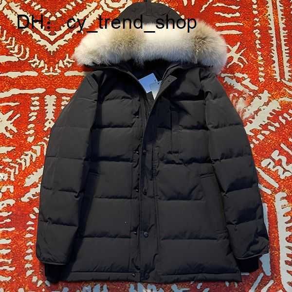 badge extra down mens jacket fur coat size windbreaker men zipper thick jackets waterproof windproof 21 jacket canadas goodes, Black
badge extra down mens jacket fur coat size windbreaker men zipper thick jackets waterproof windproof 21 jacket canadas goodes, Black