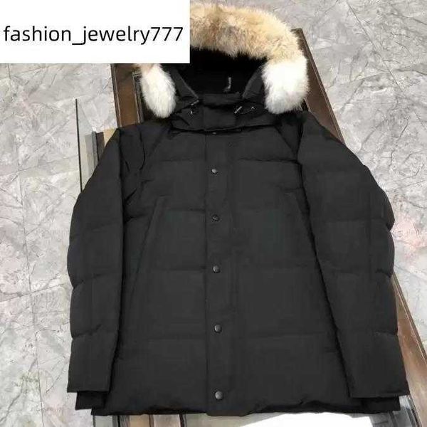 designer mens jackets winter jacket womens parkas man coat fashion down jacket canadian goose thick warm coats outwear parka canadian parka, Black;brown
designer mens jackets winter jacket womens parkas man coat fashion down jacket canadian goose thick warm coats outwear parka canadian parka, Black;brown