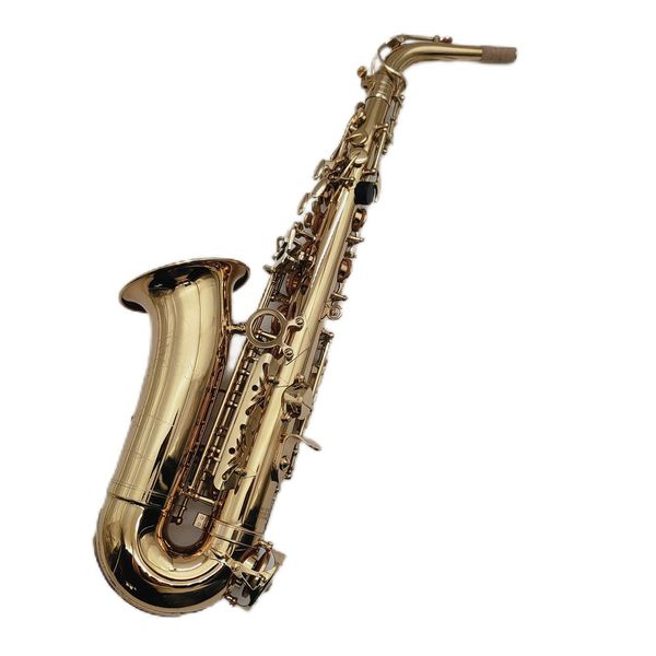 jupiter jas-767gl alto eb tune saxophone new arrival brass gold lacquer music instrument e-flat sax with case accessories
jupiter jas-767gl alto eb tune saxophone new arrival brass gold lacquer music instrument e-flat sax with case accessories