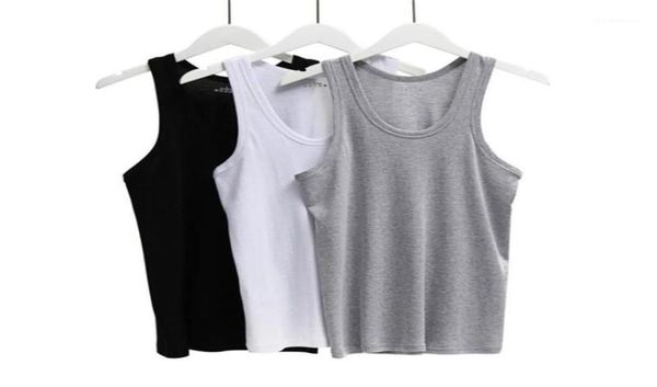 mens undershirt cotton oneck 3pcslot underwear transparent shirts male fitness wrestling singlets lxl xxl xxx14032846, Black;brown
mens undershirt cotton oneck 3pcslot underwear transparent shirts male fitness wrestling singlets lxl xxl xxx14032846, Black;brown
