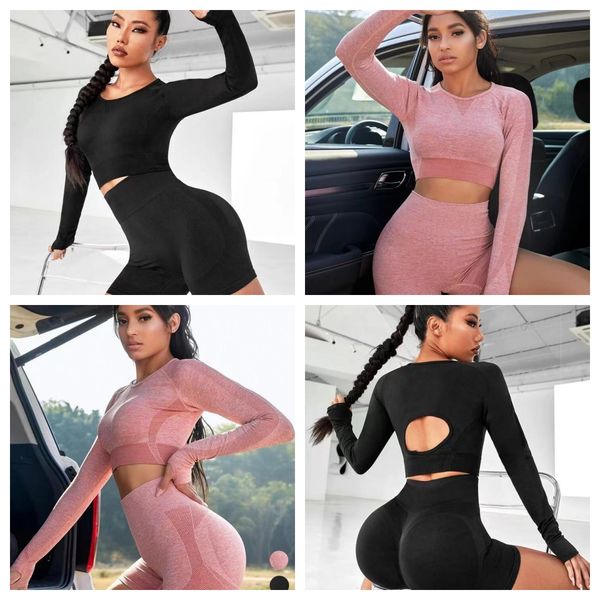2023 seamless new yoga suit with navel exposed, long sleeves and hip-lifting shorts, two-piece yoga suit for women., White;red
2023 seamless new yoga suit with navel exposed, long sleeves and hip-lifting shorts, two-piece yoga suit for women., White;red