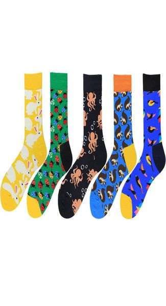 colorful cute rabbit squirrel printing pattern art socks men fashion animal socks funny cotton kawaii calcetines hombre 2pcs1pair7355828, Black
colorful cute rabbit squirrel printing pattern art socks men fashion animal socks funny cotton kawaii calcetines hombre 2pcs1pair7355828, Black