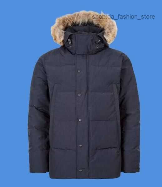 winter men down jackets real coyote fur designer homme puffer outdoor windbreaker outerwear hooded fourrure manteau canada wyndham coat hive, Black
winter men down jackets real coyote fur designer homme puffer outdoor windbreaker outerwear hooded fourrure manteau canada wyndham coat hive, Black