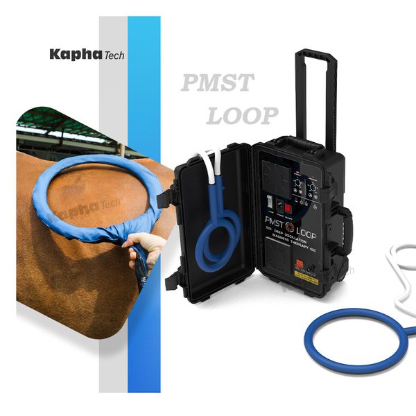 horse health care pmst loop improve horses lameness and colic magneto therapy equine machine
horse health care pmst loop improve horses lameness and colic magneto therapy equine machine