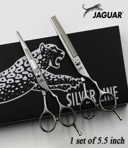 hair scissors 5quot55quot6quot65quot professional hairdressing scissors set cuttingthinning barber shears high quali6222870
hair scissors 5quot55quot6quot65quot professional hairdressing scissors set cuttingthinning barber shears high quali6222870