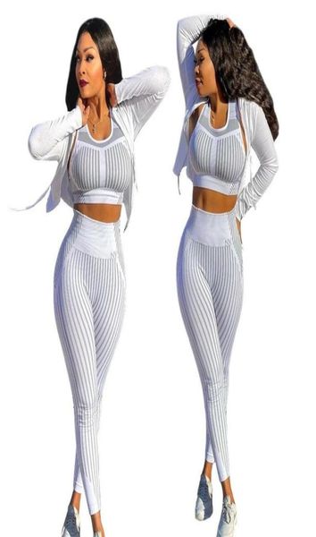 women039s two piece pants 9010 twopiece sportswear women39s striped temperament sports style womenwomen039s6576280, White
women039s two piece pants 9010 twopiece sportswear women39s striped temperament sports style womenwomen039s6576280, White