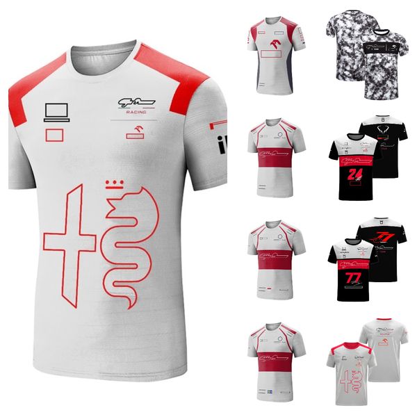 f1 team driver's clothing men's racing team sports t-shirt large size quick-drying clothes custom racing clothes
f1 team driver's clothing men's racing team sports t-shirt large size quick-drying clothes custom racing clothes
