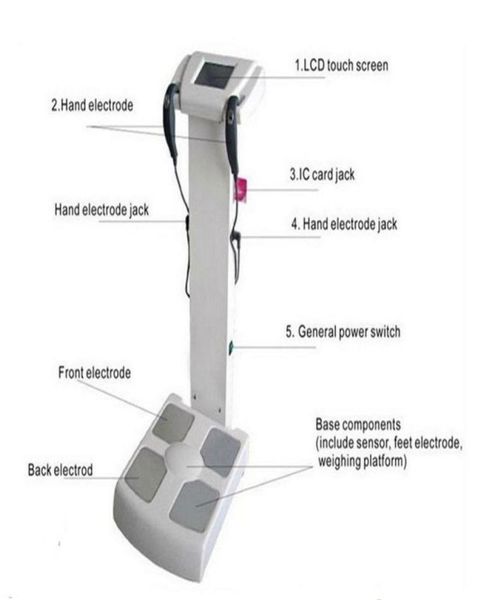 fitness center use inbody human body composition analyze equipment263z1536433
fitness center use inbody human body composition analyze equipment263z1536433