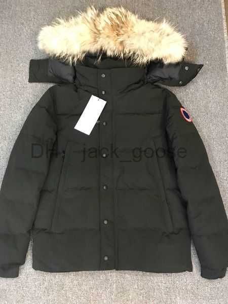 designer men's down jacket women's canadian gooses parkers winter hooded thick warm coats female 3 4tcs, Black
designer men's down jacket women's canadian gooses parkers winter hooded thick warm coats female 3 4tcs, Black