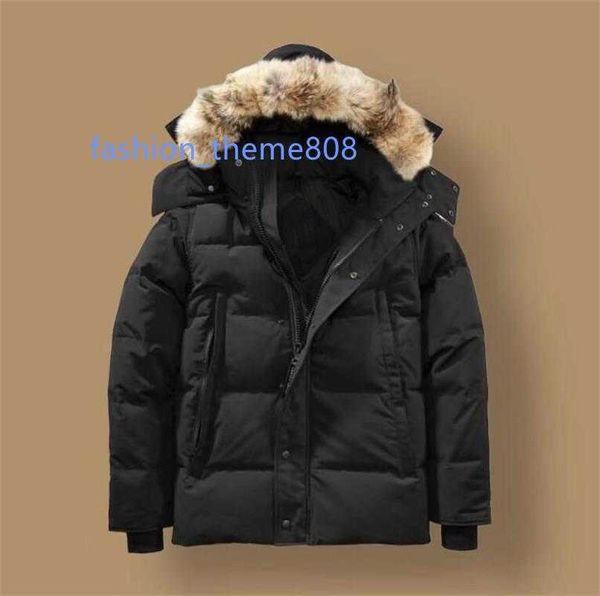 canada puffer jackets men designer real coyote fur outdoor wyndham windbreaker jassen outerwear hooded fourrure manteau down jacket coat hiv, Black
canada puffer jackets men designer real coyote fur outdoor wyndham windbreaker jassen outerwear hooded fourrure manteau down jacket coat hiv, Black