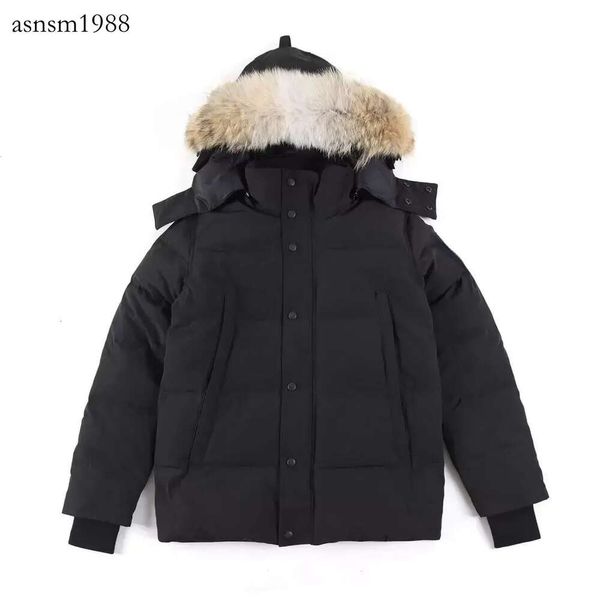 2023 mens down jacket goose coat real big wolf fur canadian wyndham overcoat clothing fashion style winter outerwear parka, Black
2023 mens down jacket goose coat real big wolf fur canadian wyndham overcoat clothing fashion style winter outerwear parka, Black
