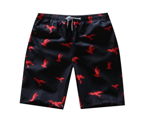 mens swim shorts summer beach style knee length large size multi type quick dry plaid floral solid shorts3033770, Black
mens swim shorts summer beach style knee length large size multi type quick dry plaid floral solid shorts3033770, Black