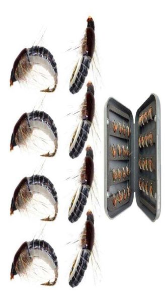 1624pcs realistic nymph scud fly 12 for trout fishing artificial insect bait 2106224673930
1624pcs realistic nymph scud fly 12 for trout fishing artificial insect bait 2106224673930