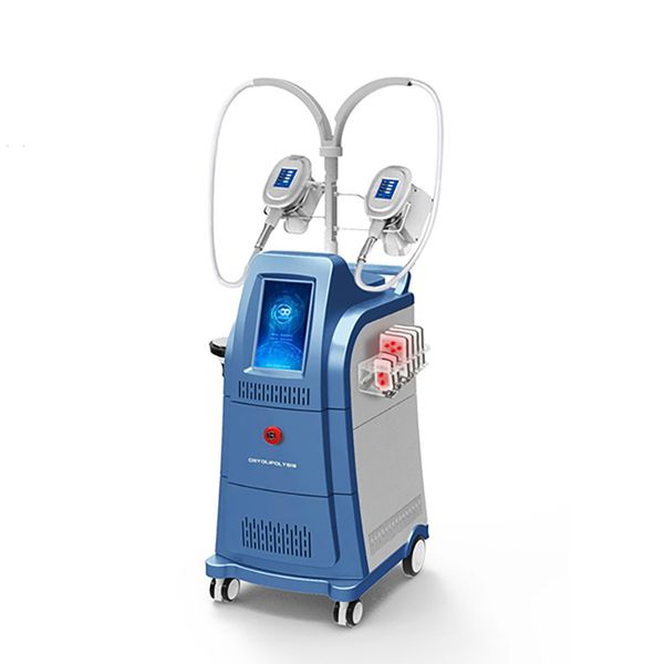 2023 cryolipolysis body slimming machine 360 cryo therapy cellulite reduce machine body shaping fat removal beauty equipment
2023 cryolipolysis body slimming machine 360 cryo therapy cellulite reduce machine body shaping fat removal beauty equipment
