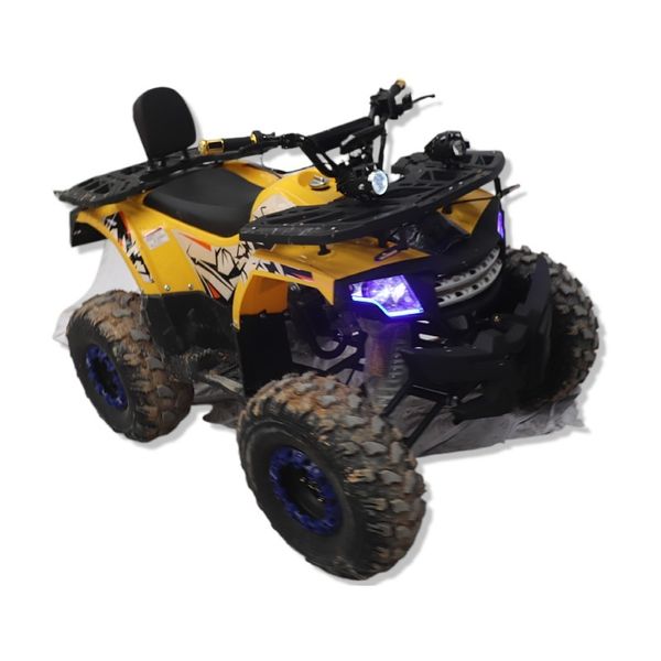 new design quality chain drive motor farm atv quad bike 4 stroke gasoline competitive mountain atv
new design quality chain drive motor farm atv quad bike 4 stroke gasoline competitive mountain atv