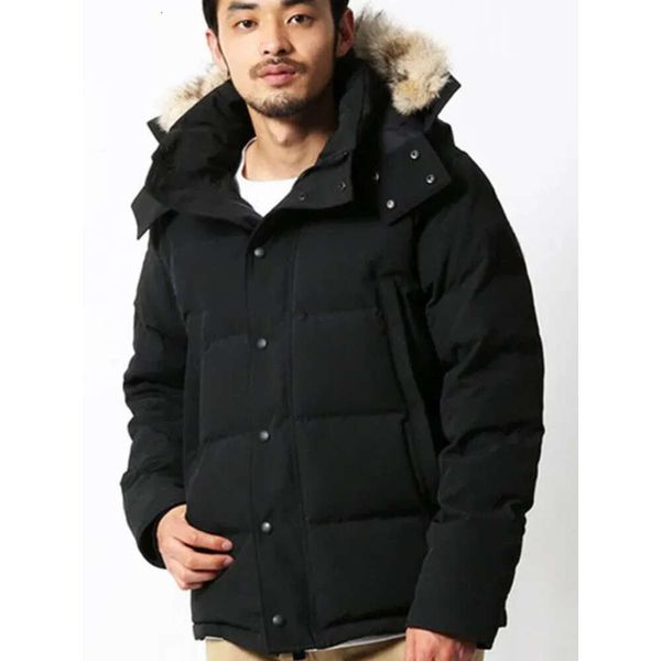 canadian winter goose jackets warm coatdown parkas parka letter printing outerwear puffer914, Black
canadian winter goose jackets warm coatdown parkas parka letter printing outerwear puffer914, Black