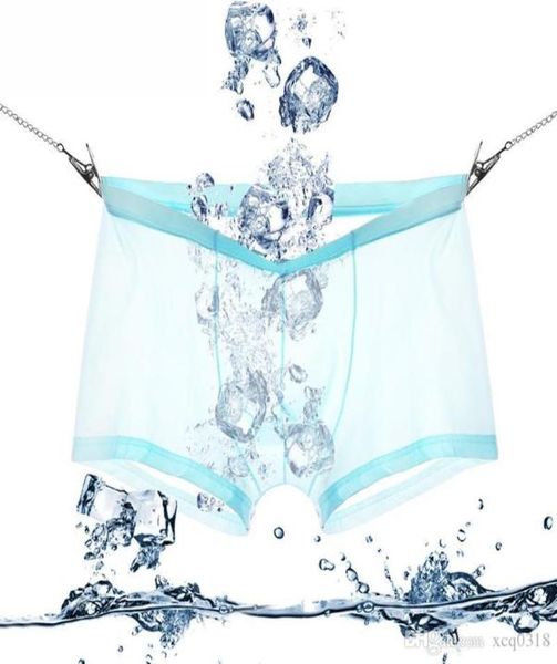fashion men underwear mesh transparent boxers bulge comfy underwear pants breathable short boxers jockstrap cuecas for men5286689, Black;white
fashion men underwear mesh transparent boxers bulge comfy underwear pants breathable short boxers jockstrap cuecas for men5286689, Black;white