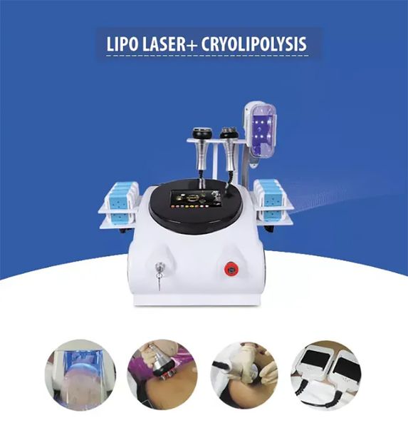 salon cryolipolysis fat e machine lipo laser diode cellulite reduction cavitation weight loss rf skin tightening machines
salon cryolipolysis fat e machine lipo laser diode cellulite reduction cavitation weight loss rf skin tightening machines