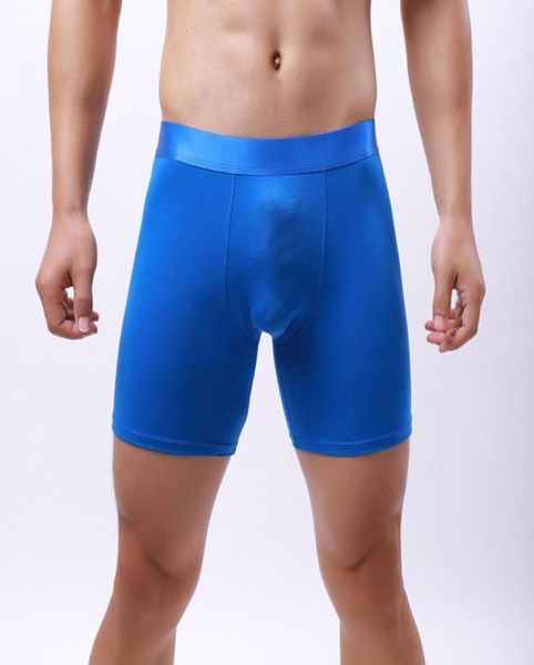 underpants mens underwear cotton boxer shorts long leg 3d mold cup sports underpant orangewhiteblackbluered2145991, Black;white
underpants mens underwear cotton boxer shorts long leg 3d mold cup sports underpant orangewhiteblackbluered2145991, Black;white