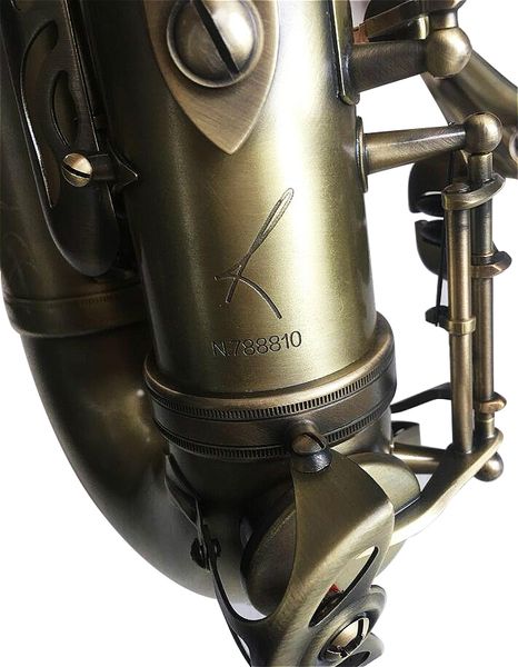 super action r54 saxophone antique copper alto full flower eb tune model e flat sax with reeds case mouthpiece professional
super action r54 saxophone antique copper alto full flower eb tune model e flat sax with reeds case mouthpiece professional