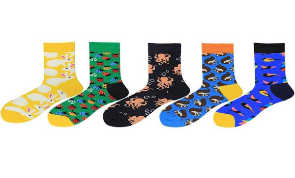 colorful cute rabbit squirrel printing pattern art socks men fashion animal socks funny cotton kawaii calcetines hombre 2pcs1pair4592452, Black
colorful cute rabbit squirrel printing pattern art socks men fashion animal socks funny cotton kawaii calcetines hombre 2pcs1pair4592452, Black