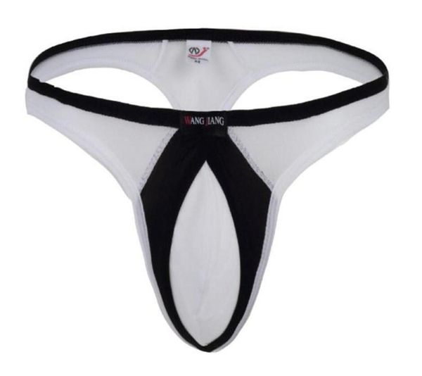new men039s comfortsoft thongs smooth fabrics grasp bulge pouch gay underwear thong g string for gay2211330, Black;brown
new men039s comfortsoft thongs smooth fabrics grasp bulge pouch gay underwear thong g string for gay2211330, Black;brown