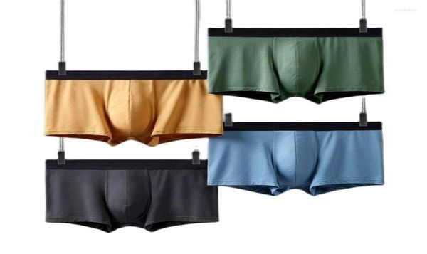 underpants 2022 men39s boxer shorts modal male underwear large size soft panties boxers 3xl mens briefs8748927, Black;white
underpants 2022 men39s boxer shorts modal male underwear large size soft panties boxers 3xl mens briefs8748927, Black;white