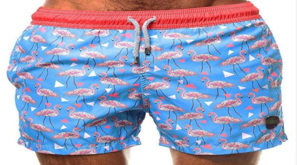 summer swiming trunks for men flamingo boy swimming shorts men blue swimwear beach male swimsuit m2xl5575688
summer swiming trunks for men flamingo boy swimming shorts men blue swimwear beach male swimsuit m2xl5575688
