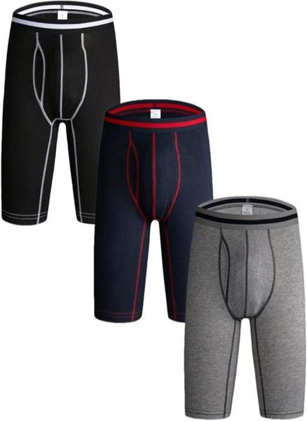 underpants 3 pack men039s long leg boxer shorts briefs cotton multipack open pouch sports underwear panties for men5521917, Black;white
underpants 3 pack men039s long leg boxer shorts briefs cotton multipack open pouch sports underwear panties for men5521917, Black;white