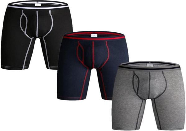 underpants 3 pack men039s long leg boxer shorts briefs cotton multipack open pouch sports underwear panties for men8871222, Black;white
underpants 3 pack men039s long leg boxer shorts briefs cotton multipack open pouch sports underwear panties for men8871222, Black;white