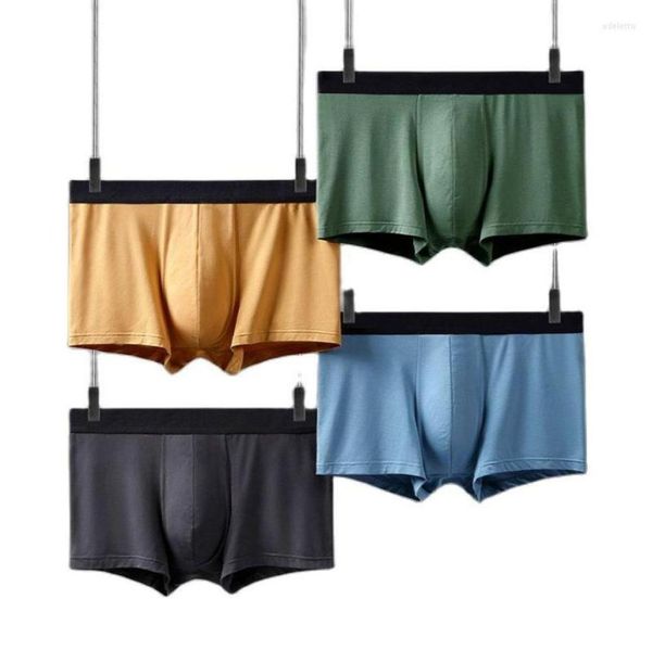 underpants 2022 men39s boxer shorts modal male underwear large size soft panties boxers 3xl mens briefs9443463, Black;white
underpants 2022 men39s boxer shorts modal male underwear large size soft panties boxers 3xl mens briefs9443463, Black;white