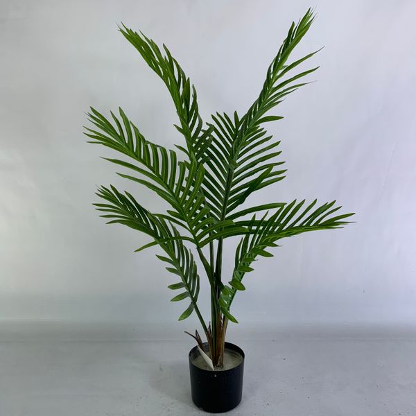 paradise palm outdoor indoor home ornamental small large big fake potted plante tree artificial kwai palm tree plants for sale
paradise palm outdoor indoor home ornamental small large big fake potted plante tree artificial kwai palm tree plants for sale