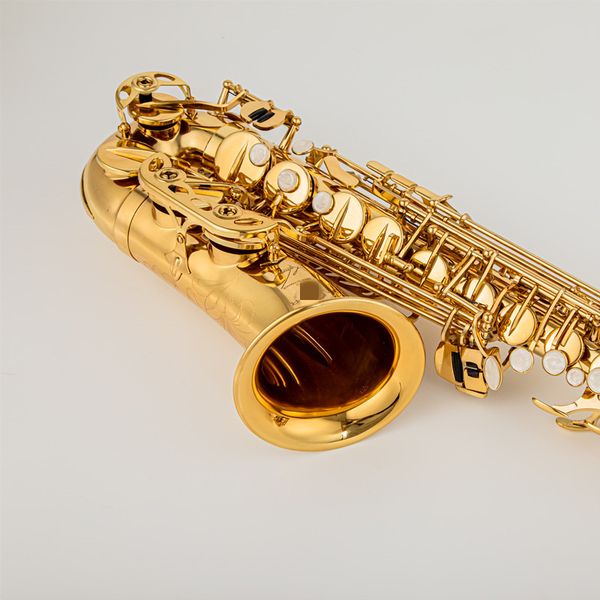 alto saxophone reference sas-54 antique copper plated e-flat professional musical instrument with mouthpiece reed neck ship
alto saxophone reference sas-54 antique copper plated e-flat professional musical instrument with mouthpiece reed neck ship