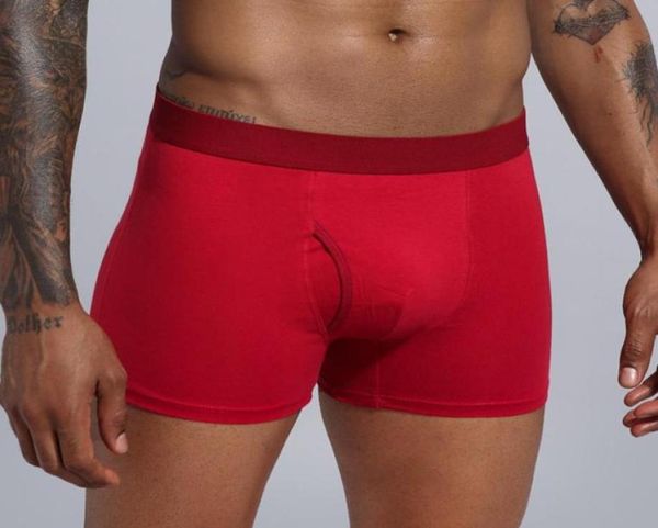 boxer men short underwear mens underwear boxers boxer homme man soft cotton shorts men underpants panties75514016079846, Black;white
boxer men short underwear mens underwear boxers boxer homme man soft cotton shorts men underpants panties75514016079846, Black;white