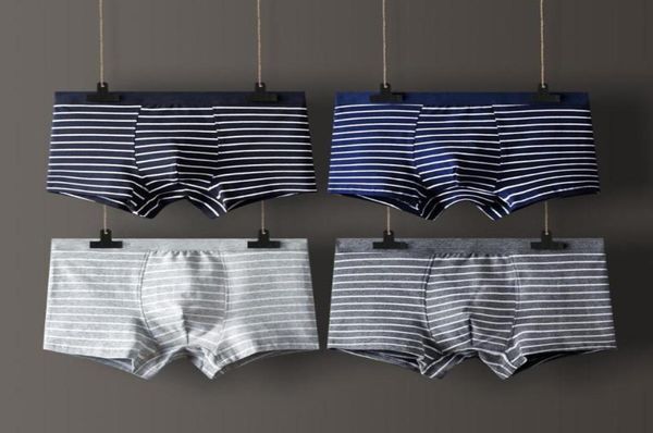 underpants 4 pcs striped men underwear cotton large size panties boxer male solid men039s shorts breathable l3xl1682117, Black;white
underpants 4 pcs striped men underwear cotton large size panties boxer male solid men039s shorts breathable l3xl1682117, Black;white