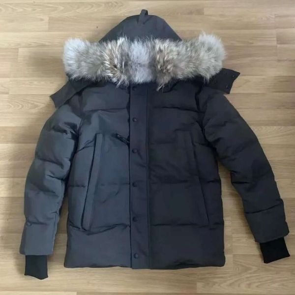 designer puffer jacket winter men down jackets veste homme outdoor jassen outerwear real coyote fur hooded hoodie fourrure manteau, Black
designer puffer jacket winter men down jackets veste homme outdoor jassen outerwear real coyote fur hooded hoodie fourrure manteau, Black