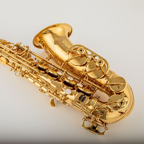 alto saxophone reference sas-54 antique copper plated e-flat professional musical instrument with mouthpiece reed neck ship
alto saxophone reference sas-54 antique copper plated e-flat professional musical instrument with mouthpiece reed neck ship